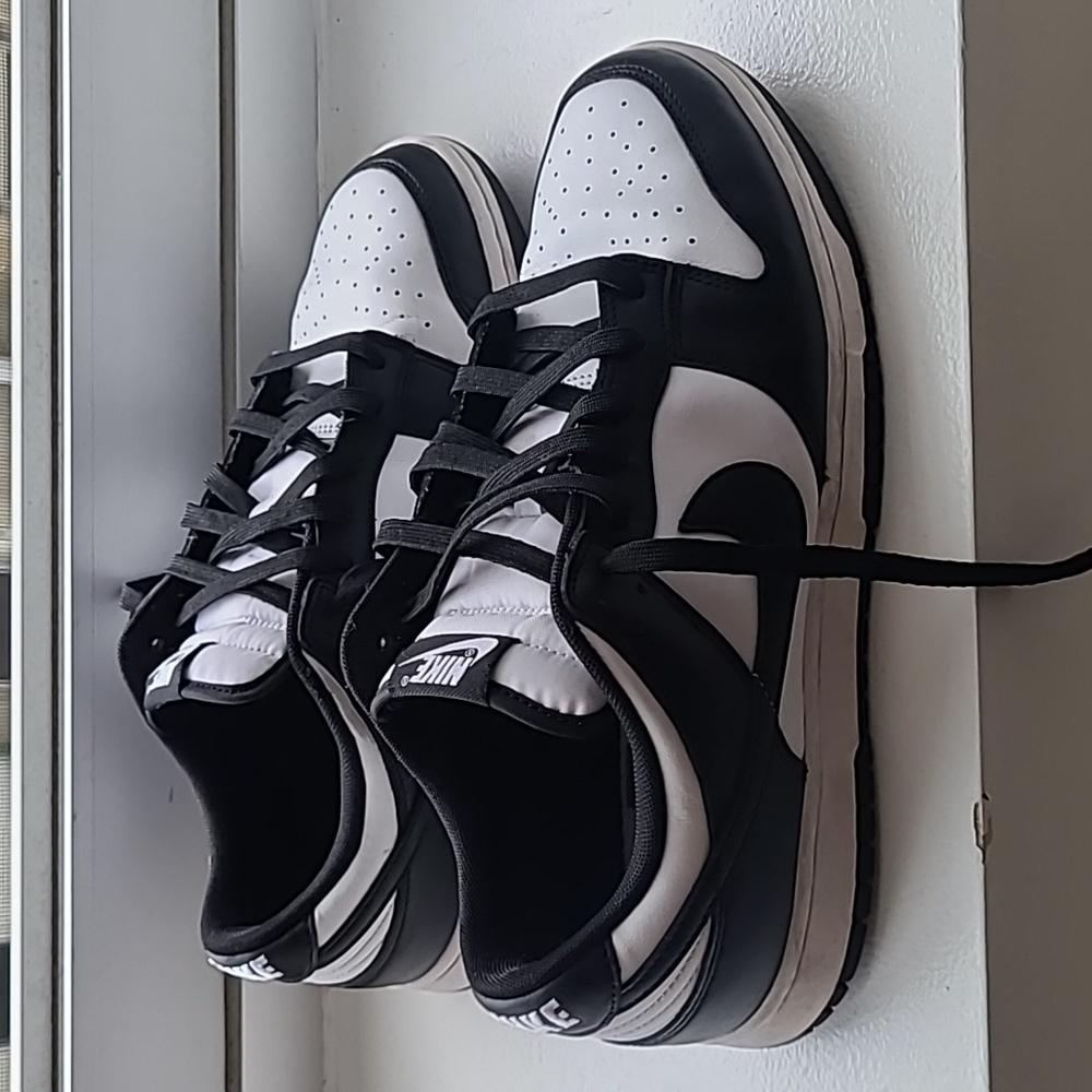 Nike 'Panda' Dunks